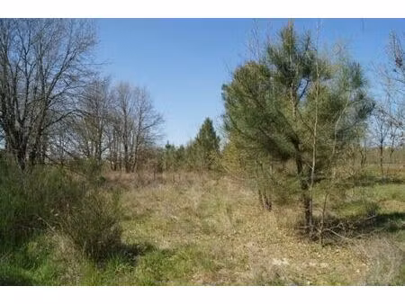 vente terrain 900 m² le barp (33114)