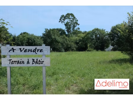 terrain a bâtir - carbonne (31)