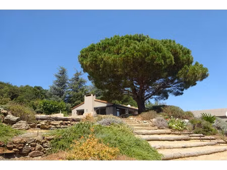 vente maison 7 pièces 235m2 céret 66400 - 1100000 € - surface privée