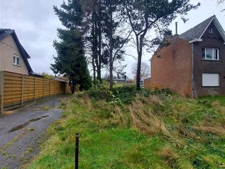 terrain à vendre à paalseweg tessenderlo (rbu97516)