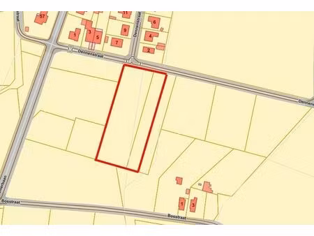 terrain agricole à vendre à dennenstraat peer (rbu97518)