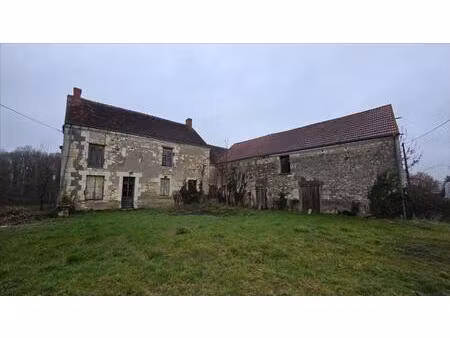 vente maison 9 pièces 310 m² luçay-le-mâle (36360)