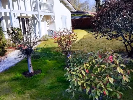 vente maison 5 pièces 114 m² mont-de-marsan (40000)