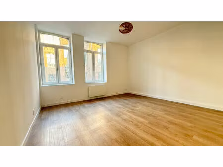 appartement 1 chambre en duplex quartier vauban / cormontaigne