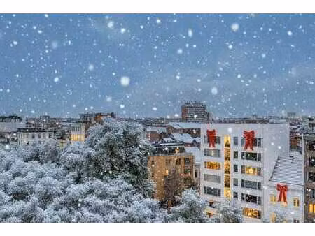 lumineux duplex avec 3 chambres  grande terrasse et emplace