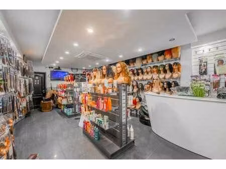 immeuble de rapport mixte entièrement loué