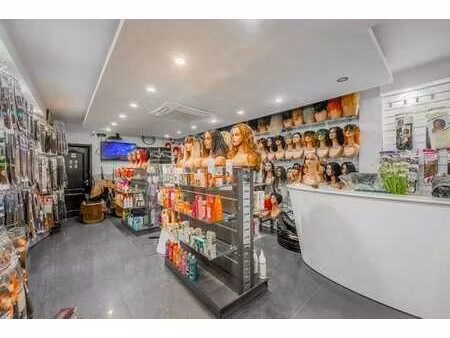 immeuble de rapport mixte entièrement loué