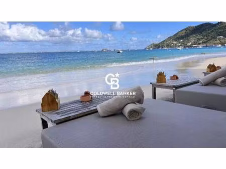 appartement pieds dans l’eau à grand case – vue mer