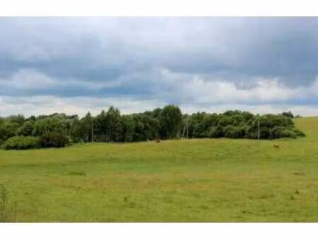 grand terrain de 5.000m² sans permis