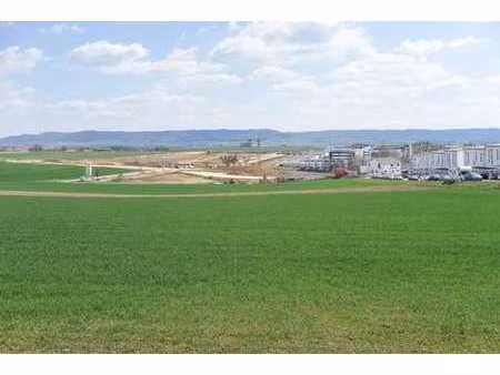 région de hasselt : projet de lotissement d'environ 1ha