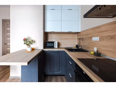 vente appartement 2 pièces 52 m² à mauguio (34130)  180 000 €