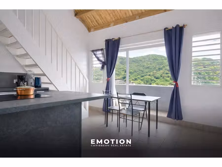 vente appartement 3 pièces 50 m² à saint-martin (97150)  180 000 €