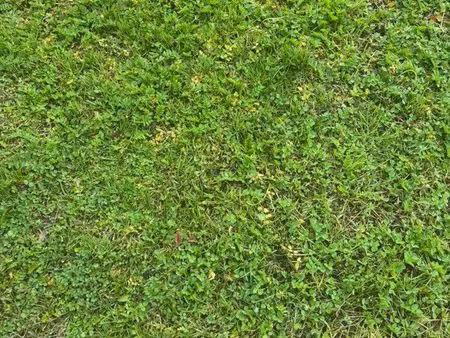 terrain pour voyageurs