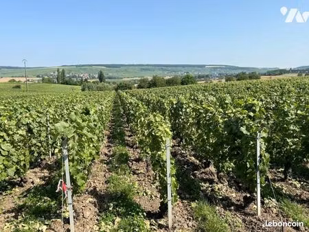 terrain 1733 m² cuchery