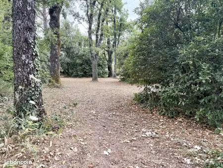 terrain 1 095 m² saint cezaire sur siagne