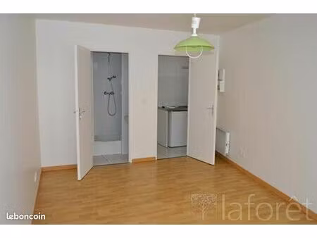 studio 1 pièce 20 m²