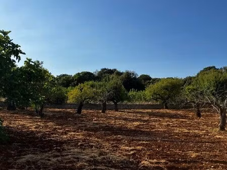 projet terrains pouilles italie