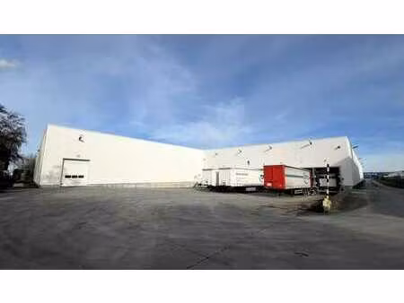 entrepôt logistique à louer à hoogveld à dendermonde