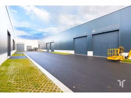 commercieel te koop in zedelgem