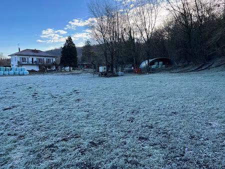 maison t4 rénovée de 108 m² avec grand sous-sol  grenier aménageable et près d'1 hectare d