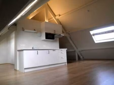 douillet appartement avec grand jardin commun