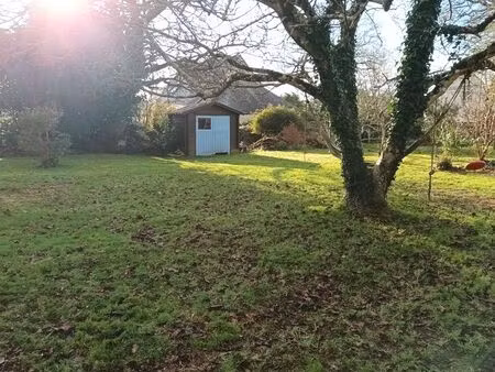 terrain constructible