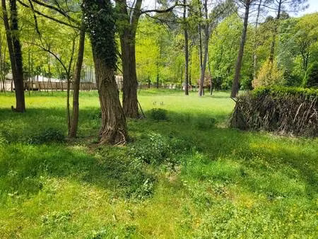 tinnirello rémy capifrance