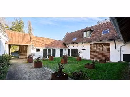 maison avec piscine hem (59)