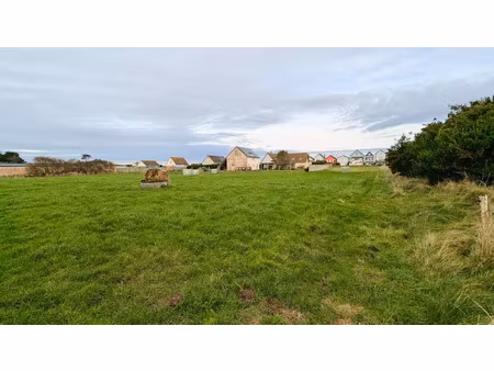 vente terrain 4961 m² à sainte-mère-eglise (50480)  23 900 €