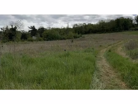 vente terrain à batir 628 m² à fismes (51170)  26 600 €