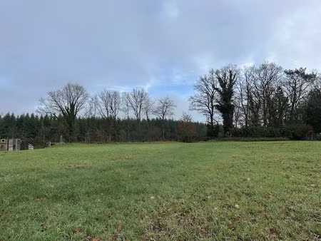 vente terrain 1104 m² à pré-en-pail (53140)  18 500 €
