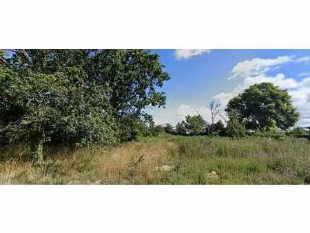 vente terrain à pornichet (44380) : à vendre / 300m² pornichet