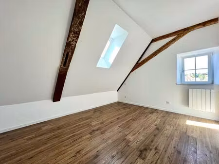 altkirch - centre-ville  immeuble de rapport  idéal investisseur  sans travaux