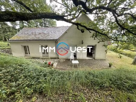 maison en viager - luynes (37230)