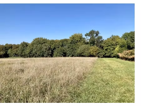 vente terrain 950 m² à bouliac (33270)  330 000 €