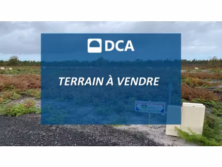 vente terrain 533 m² à saint-paul-en-born (40200)  88 000 €