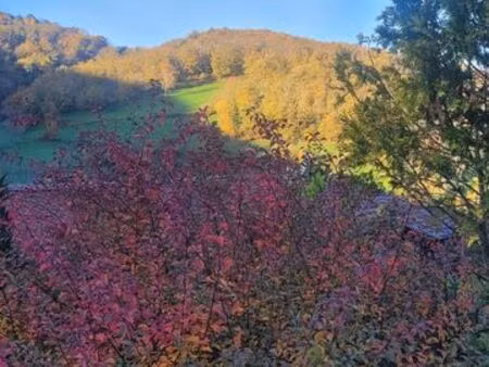 sous loue maisonnette vaugneray/yzeron