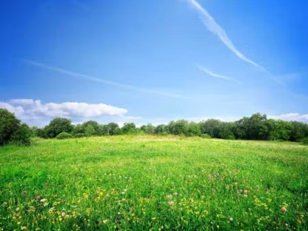 vente terrain 480 m² à luynes (37230)  115 000 €