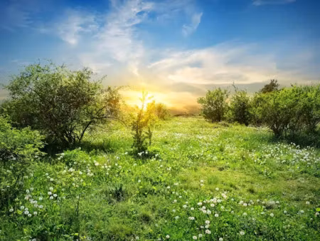 vente terrain 1014 m² à saint-genès-de-lombaud (33670)  130 000 €