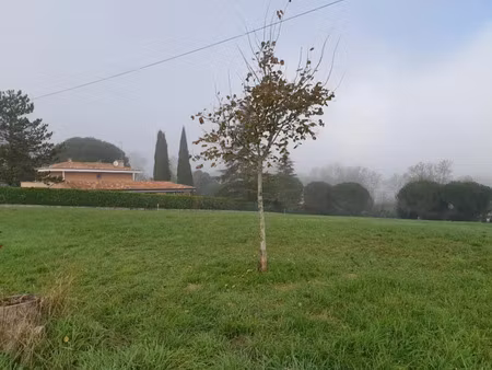 vente terrain 500 m² à l'union (31240)  155 000 €