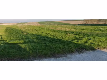 vente terrain à batir 580 m² à cernay-lès-reims (51420)  174 000 €