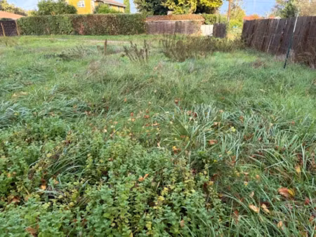 vente terrain 650 m² à le porge (33680)  170 000 €