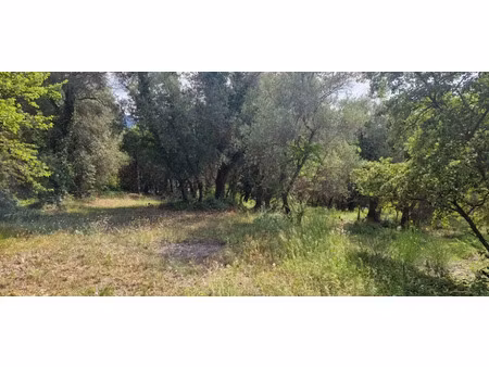 vente terrain 1300 m² à tourrette-levens (06690)  225 000 €