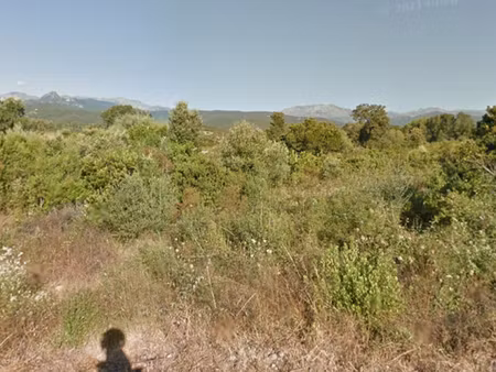 vente terrain 7000 m² à solaro (20240)  660 000 €