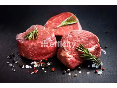 vente locaux professionnels 95 m² à bons-en-chablais (74890)  230 000 €