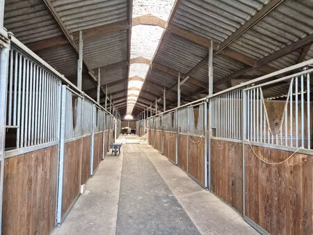 vente haras / equestre precigne  127m² 6 pièces 275 000€ sarthe