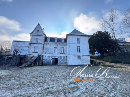 vente château 13 pièces 316 m² à seyssel (01420)  690 000 €