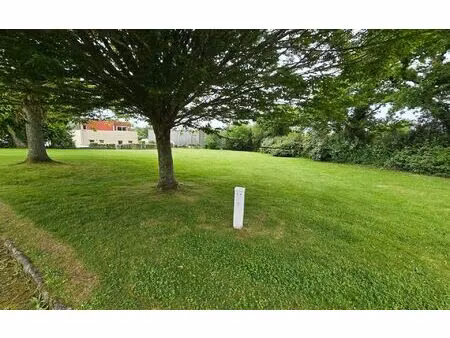 terrain plougastel-daoulas m² t- à vendre  160 500 €