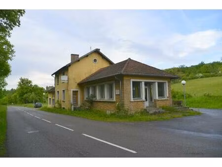 a vendre bar restaurant a renover entierement .350 m2 + 100 m2 de sous sols .tres bon empl