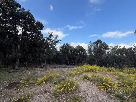 à vendre terrain forestier de 7 ha 63 a 80 ca commune de